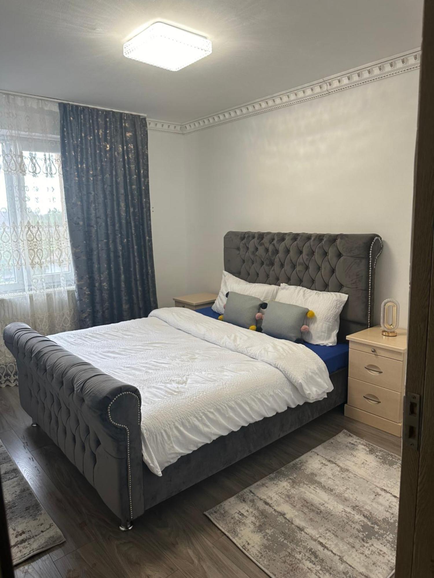 Apartament Penthouse Mario Timişoara